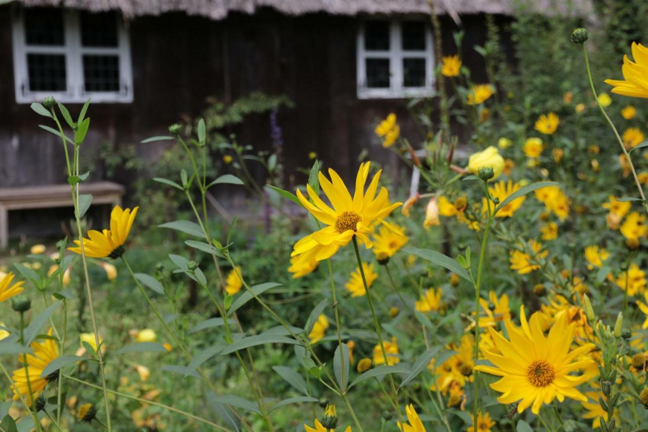 Ferienhaus Wahlers บิสพิงเงน ภายนอก รูปภาพ